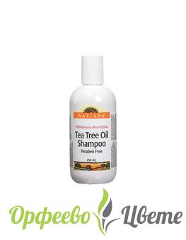 НАТУРАЛНА КОЗМЕТИКА  Грижа за косата Tea Tree Oil Shampoo / Шампоан с масло от чаено дърво x 250 ml
